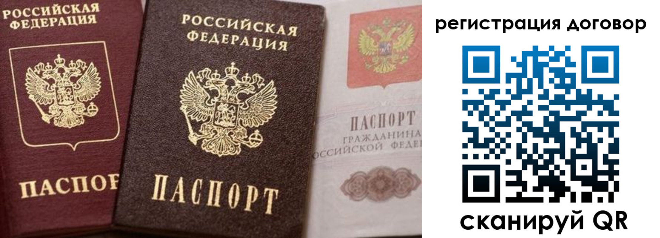 прописка 2025 в Невеле