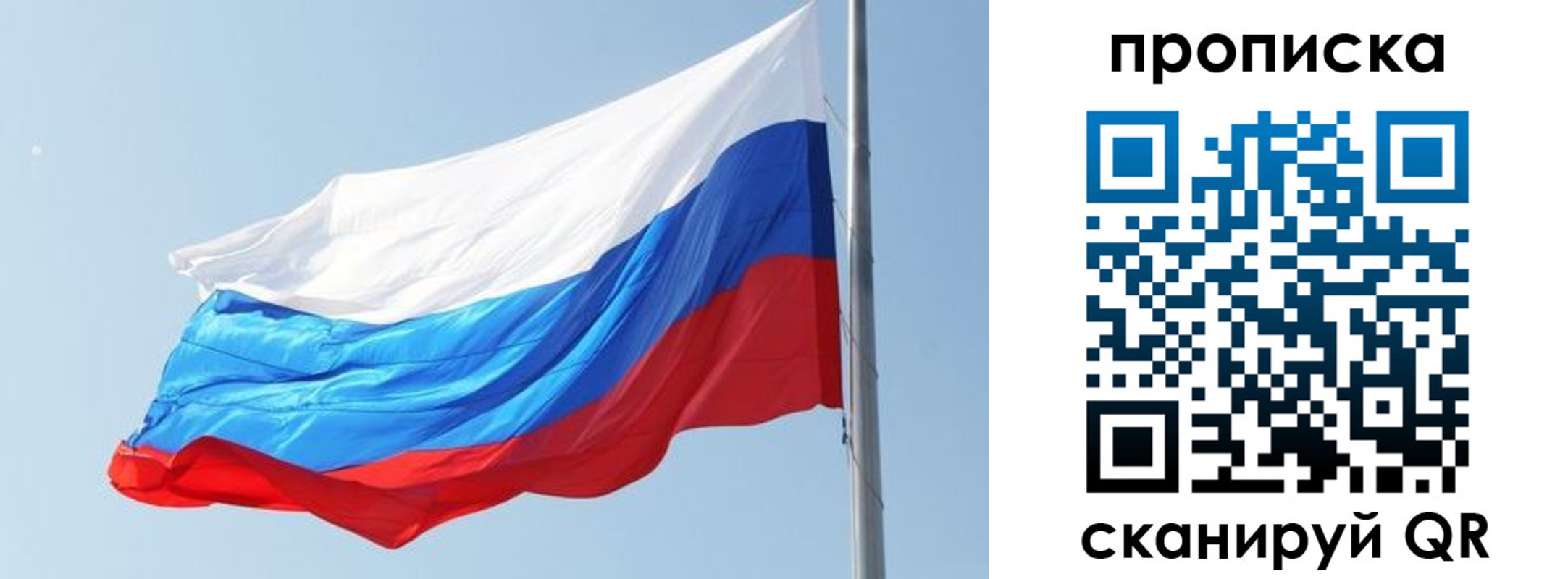прописка для школы в Невеле